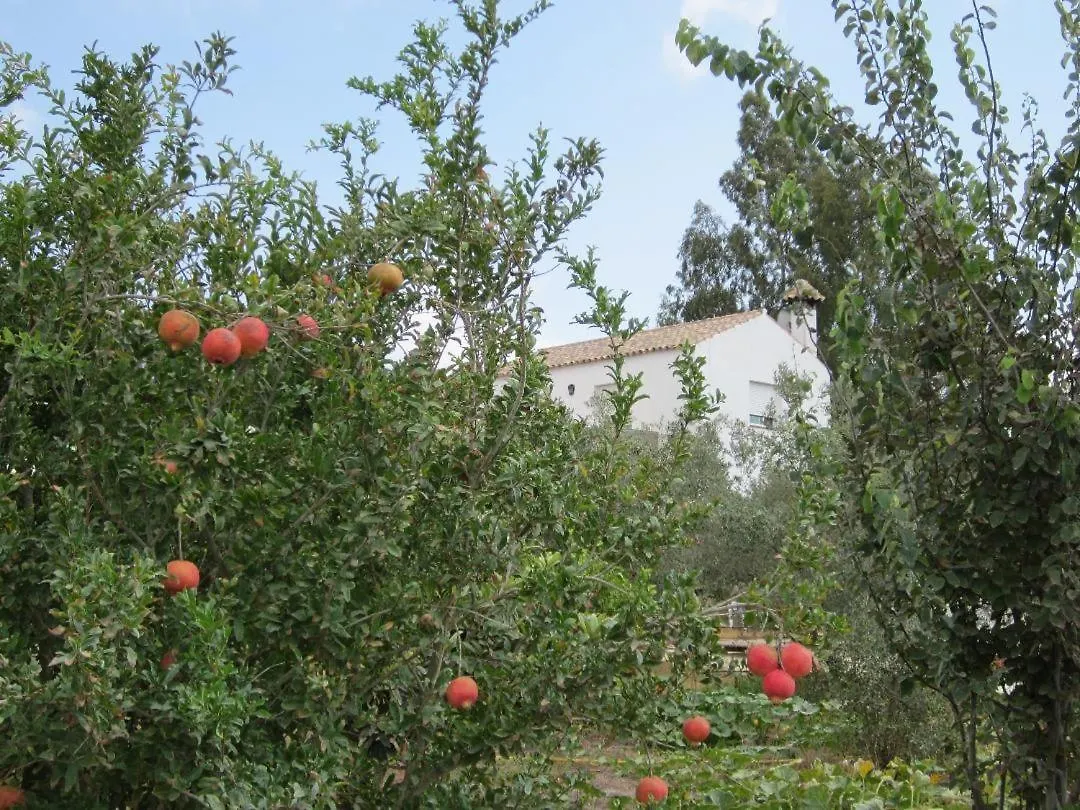 Holiday home Casa Pausa El Soto Spain